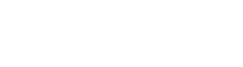 El ladrón de palabras