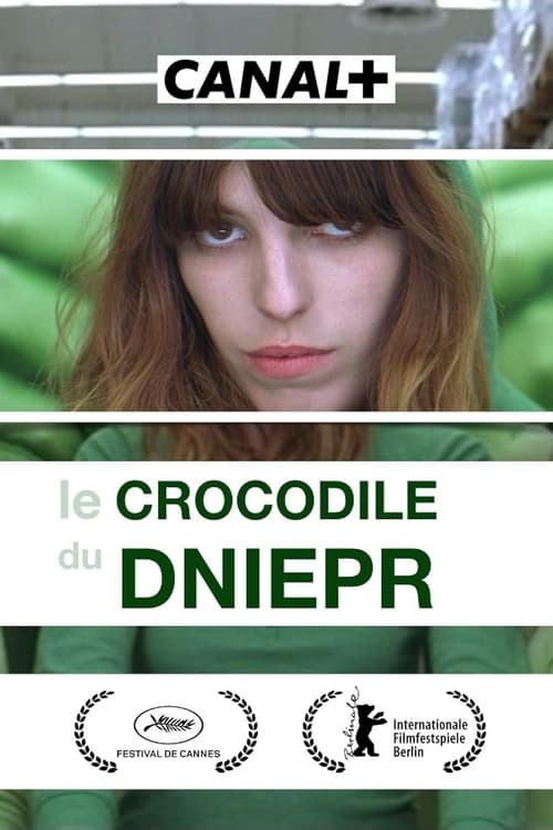 Le crocodile du Dniepr (2010) poster