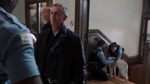 Chicago P.D. Distrito 21: 1×1