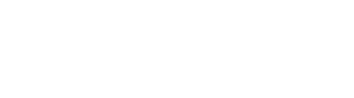 Kiwi Christmas