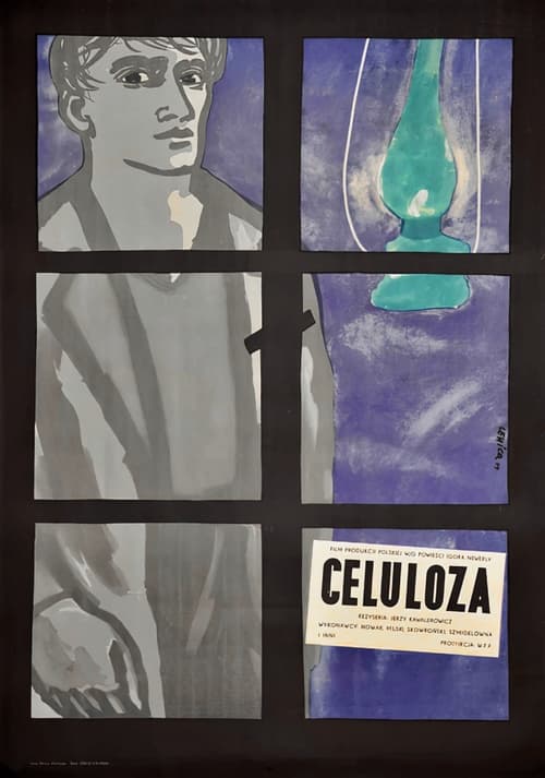 Poster Celuloza 1954