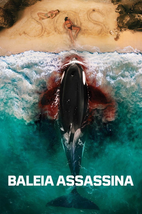 Baleia Assassina