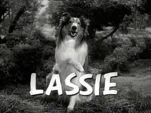 Poster della serie Lassie