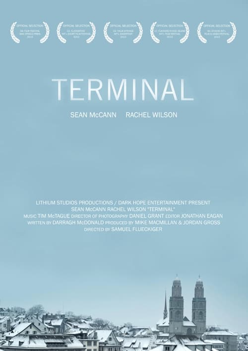 Terminal (2013) poster