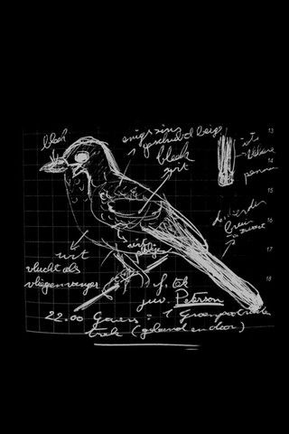 Een vogel met jouw naam poster