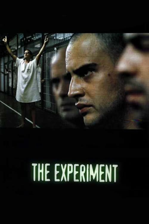 Where to stream The Experiment