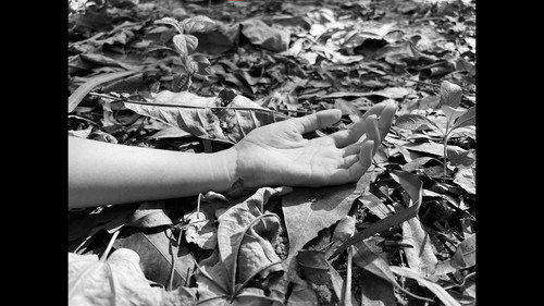 Kaowpun's Last Day on Earth