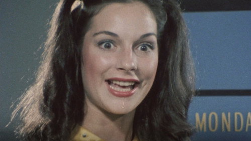 The Calendar: How to Use It