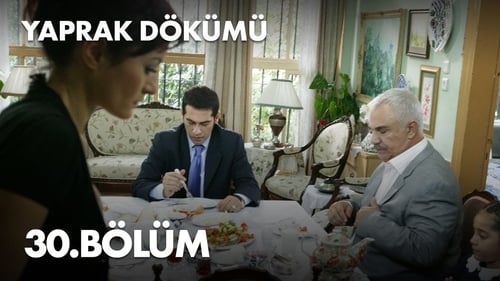 Poster della serie Yaprak Dökümü