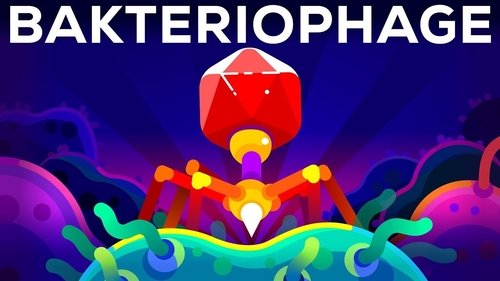 Épisode 7