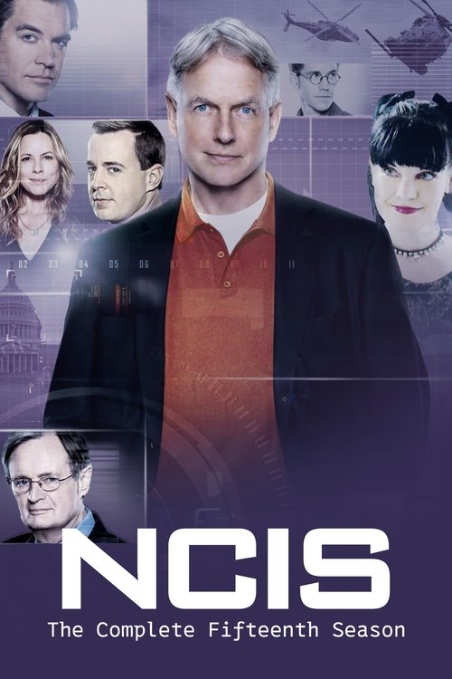 {{ $t('tvShows.season') }} 15