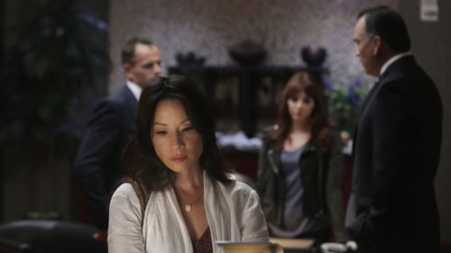 Elementary: 3×6