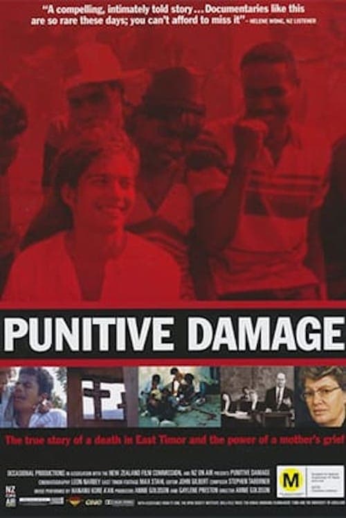 Poster Punitive Damage 1999