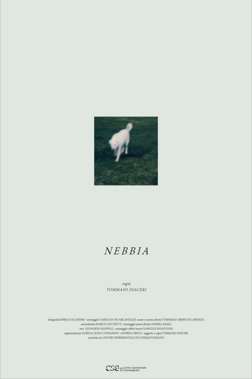Nebbia