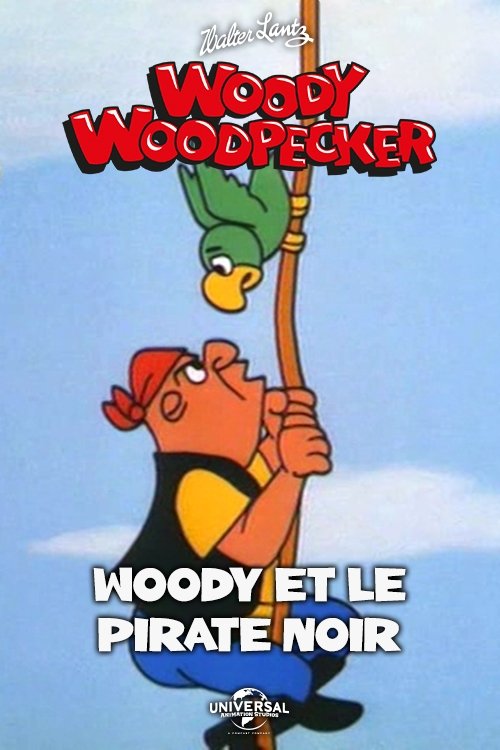 Poster of : Woody et le pirate noir