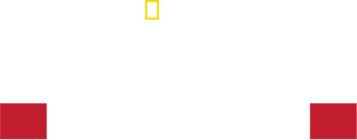 Apocalypse: World War I