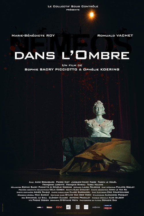 Dans L'Ombre (In the Shadow) poster