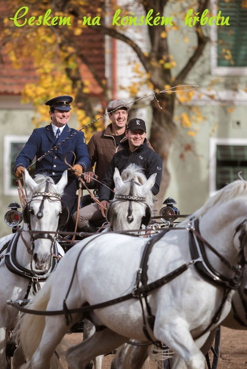 Českem na koňském hřbetu