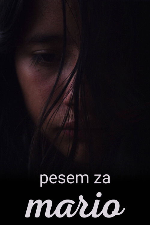 A Song for Mary poster