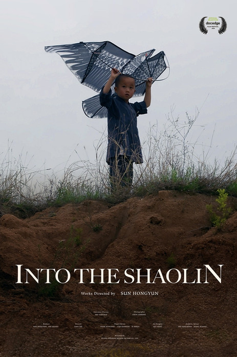 Into the Shaolin poster