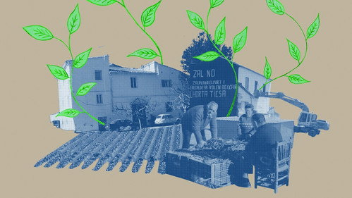 Llavors. Van voler soterrar-nos però no sabien que érem llavors still