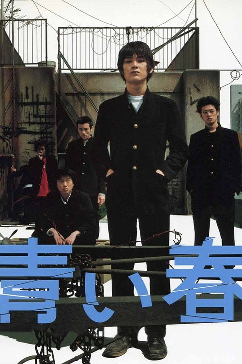 Blue Spring poster