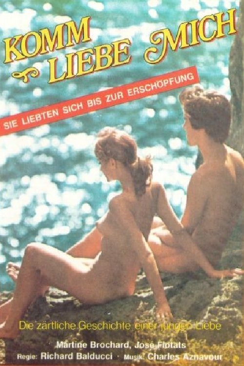 L'amour poster