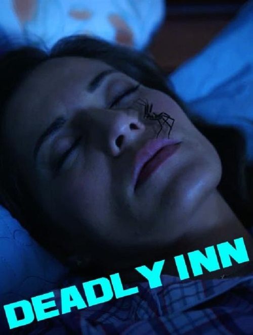 Image Deadly Inn