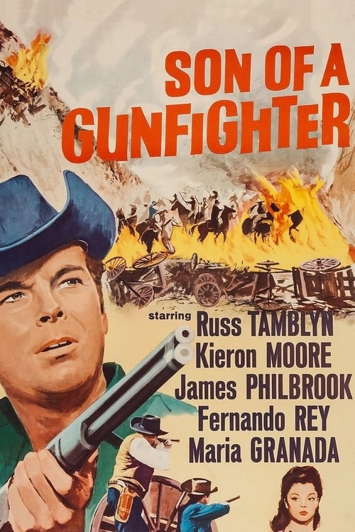 Son of a Gunfighter poster