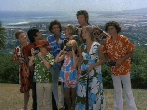 Poster della serie The Brady Bunch