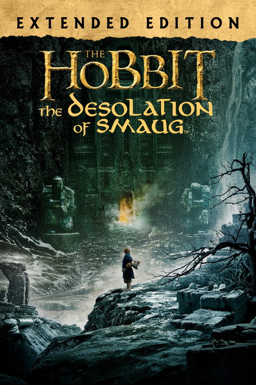 The Hobbit: The Desolation of Smaug (Extended Edition) poster