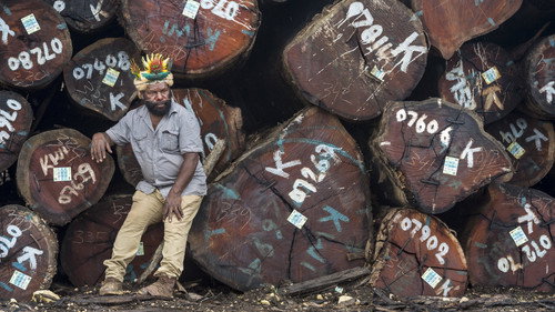 Mundiya Kepanga, the Voice of the Forest