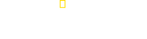 Critter Fixers: Hospital Veterinário