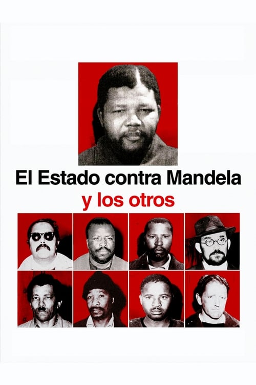 The State Against Mandela and the Others poster