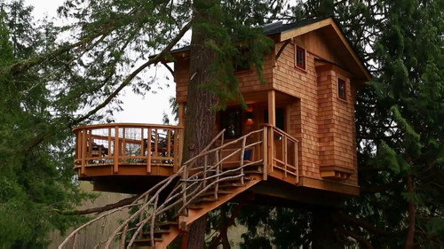 Treehouse Point 2.0!