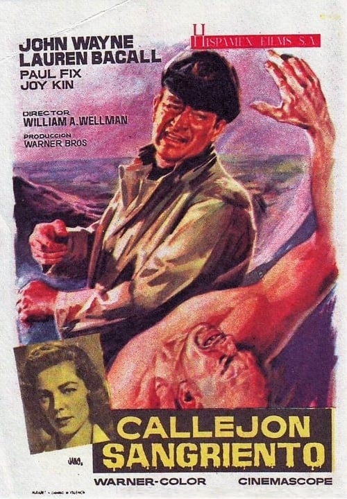 Blood Alley poster