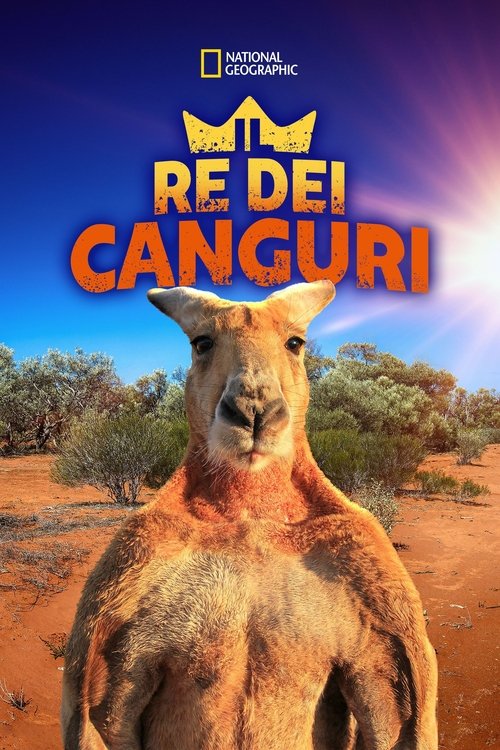 The Kangaroo King poster