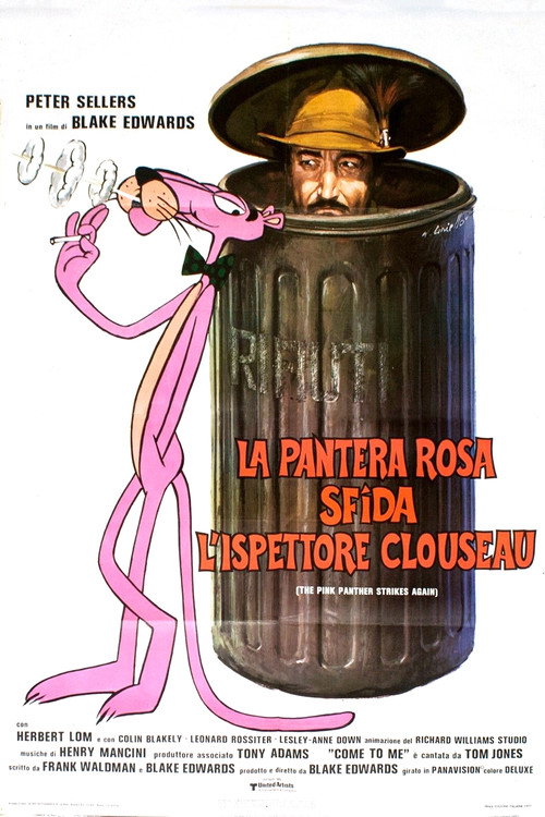 Pôster