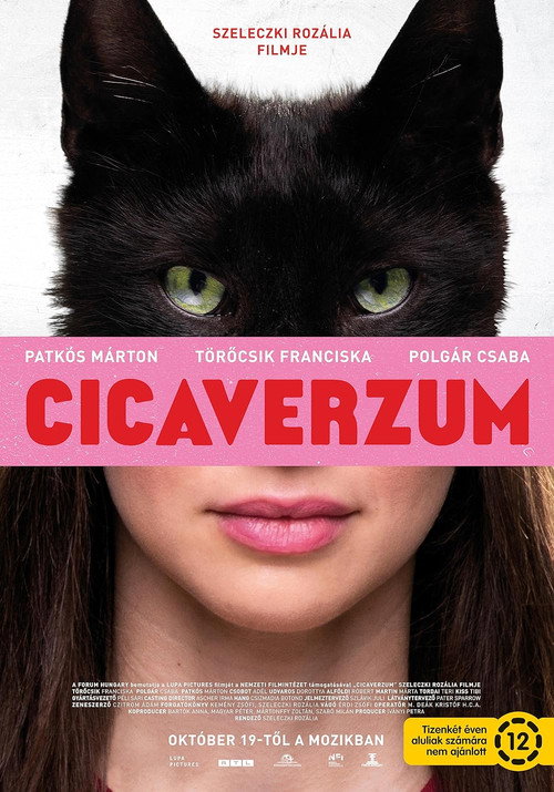 Cat Call poster