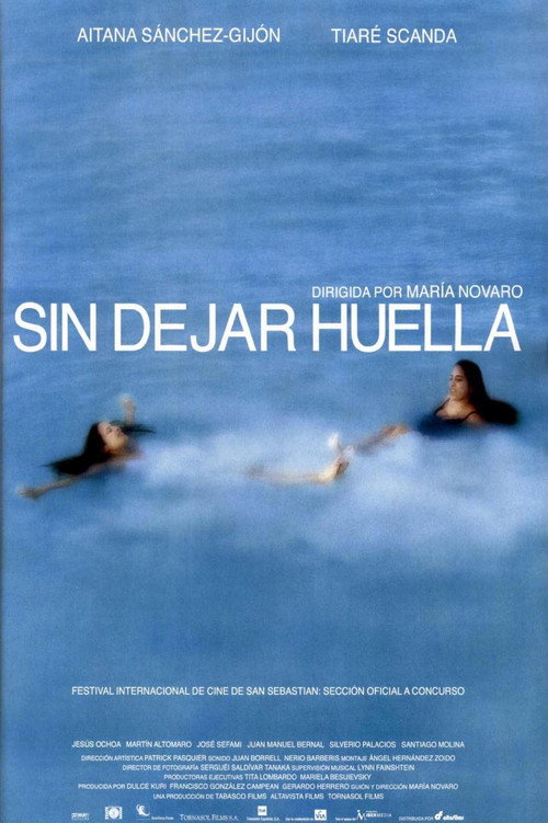 Without a Trace poster