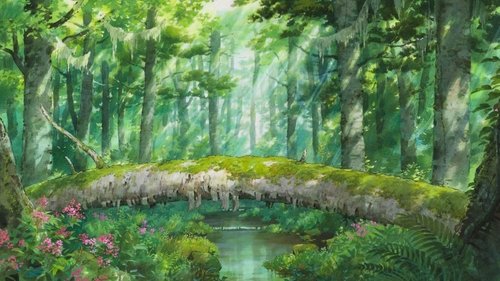 Backdrops