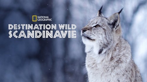 Wild Nordic