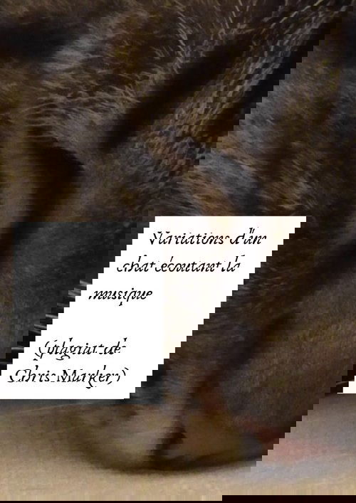 Variations of a cat listening to music (Chris Marker plagiarism)