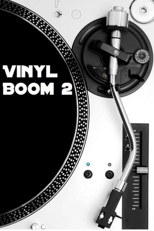 Vinyl-Boom Comeback der Schallplatte