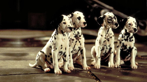 101 Dalmatians