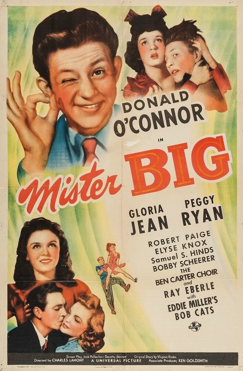 Assistir Mister Big Online