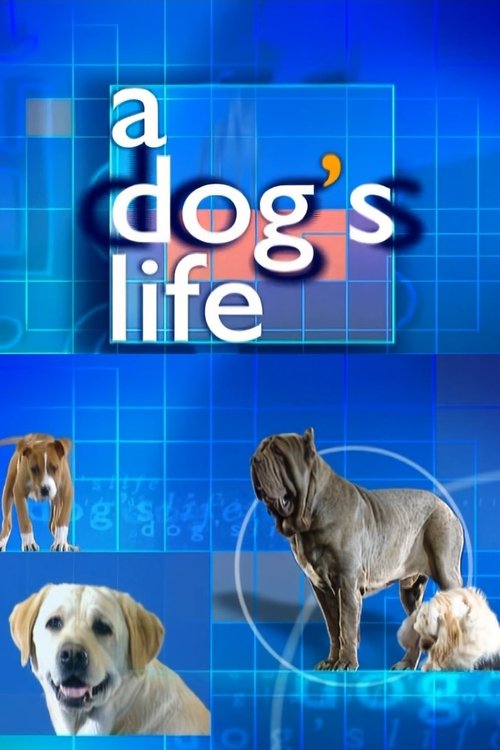 Poster A Dog's Life