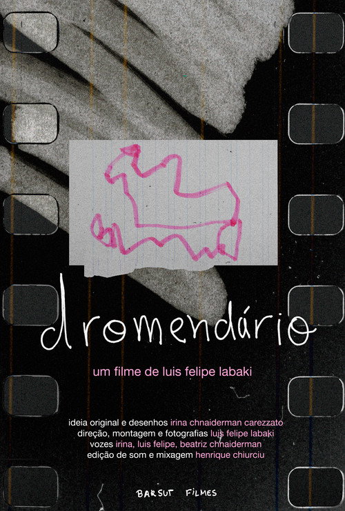 Dromendário poster