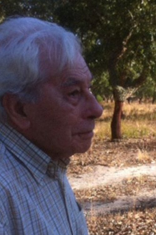 A Vossa Terra movie poster player