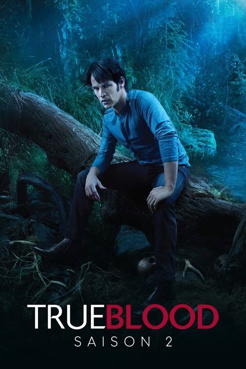 Poster de la saison 2